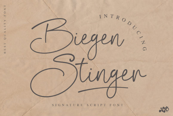 Biegen Stinger Script Font for Web Design
