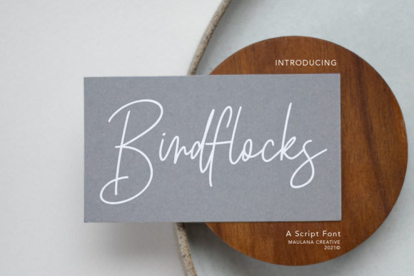 Birdflocks Script for Web Design and Branding