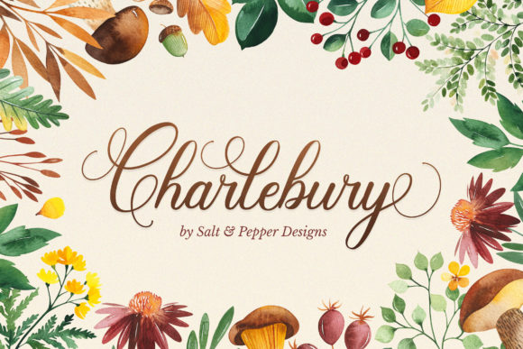 Charlbury Script: A Modern Typeface for Clear, Stylish Campaigns