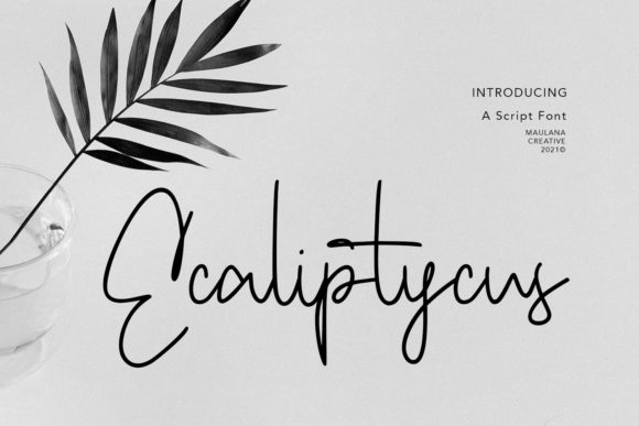 Ecaliptycus Script: A Handwritten Font for Modern Web Design