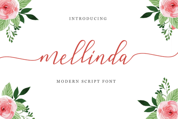 Mellinda Script: A Designer’s Real-World Review