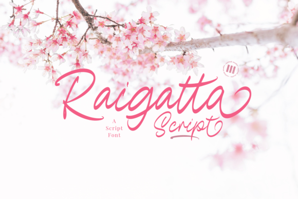 Raigatta Script: A Versatile Handwritten Font for Web Design