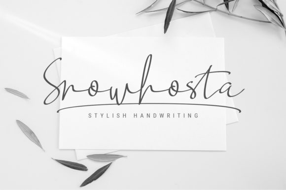 Snowhosta Script for Modern Web Typography