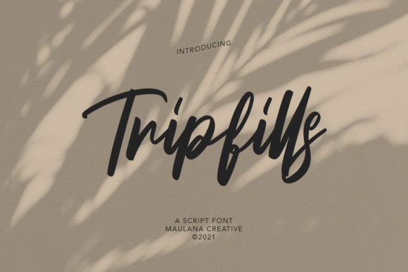 Testing Tripfills Script for a Creative Portfolio Redesign